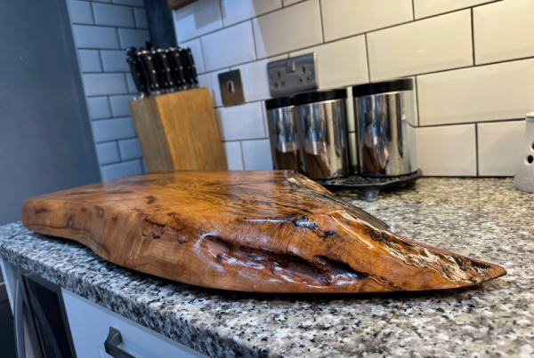 A substantial piece of wood positioned on a countertop, emphasizing its organic shape and rich color